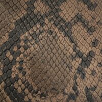 BROWN SNAKE