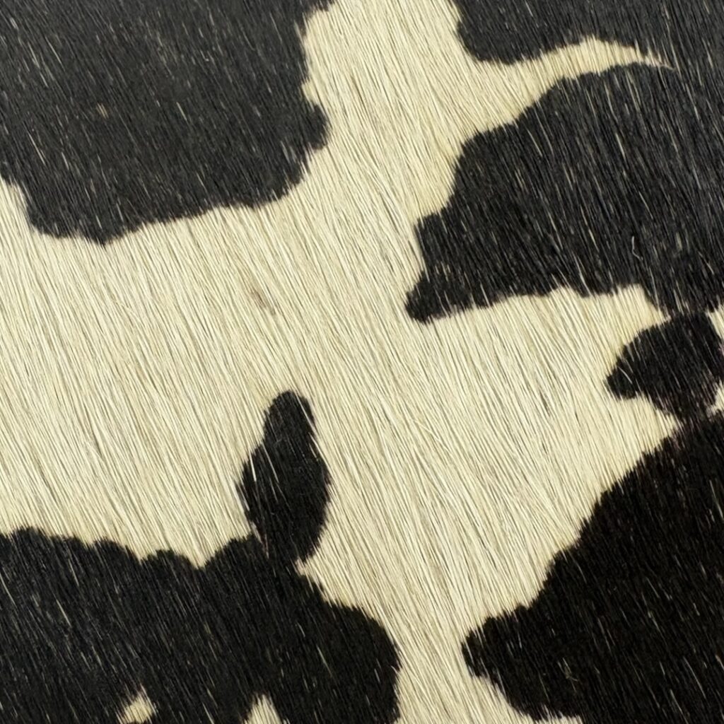 pony-hair-bovine-black