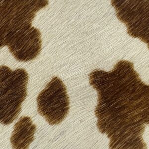 BROWN BOVINE