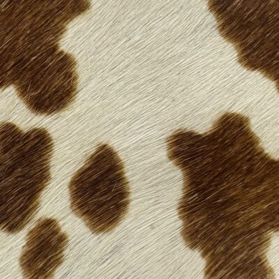 BROWN BOVINE