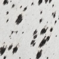 BLACK SPOTTED